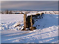 Farmland and Hedley Park Farm in Winter