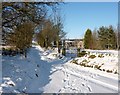 Track from Freebirch Farm, with snow