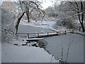 Frozen pond in Flatts Lane Country Park