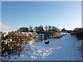 Lane up to Old Brampton