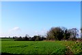 ST8584 : Footpath near Widley's Farm by Nigel Mykura