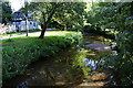 Reflections in the River Leven