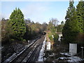 Looking northwards from Ferry Lane Bridge