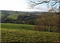 View from Orley Common