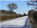 Carlton Road, near Sudbrook