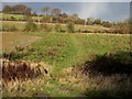 Path to Andoversford