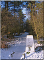 Ordnance Survey Triangulation Pillar at Beacon Country Park