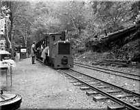 SC4178 : Groudle Glen Railway by Dr Neil Clifton