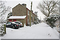 Braythorn in the snow