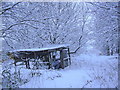 Abandoned Allotment off Gas Street