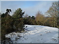 Snow still laying on the summit of St Catherine