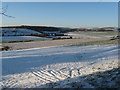 View NW from the edge of Clapham Wood