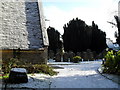 Lingering snow in the churchyard at St Mary, Shalford (5)