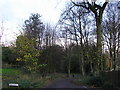 Woodland at the bottom of Church Street, Cleckheaton