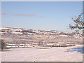 Lochwinnoch View