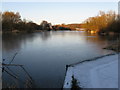 Last of the afternoon sun over Patching Pond