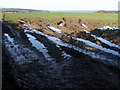 SM9737 : The sea and a sea of mud, Pembrokeshire by Natasha Ceridwen de Chroustchoff