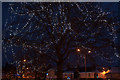 Festive tree, The Wellmeadow, Blairgowrie