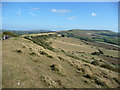 SY9080 : View along the Purbeck limestone ridge by Phil Champion