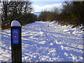 The Old Railway Line-National Cycle Network