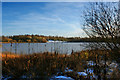 An unnamed pond covered with a skim of ice