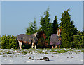 Winter grazing by Colton Hills, Wolverhampton