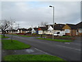 Bungalows in Sunnymead Drive