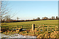 Farmland south of Staverton