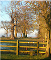 Stile north of Staverton Hall Farm