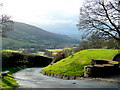 Lane in the Black Mountains