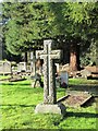 Grave near the fir tree