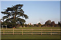 Playing fields on Hardwick Heath