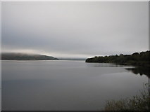 G7734 : Lough Gill by Willie Duffin