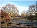 Osterley Green looking toward Windmill Road