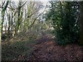 Three Legged Cross, trackbed