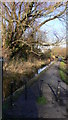 Path beside stream between Mill Lane and Westbourne Road