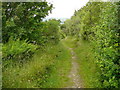 Enclosed path south east of  Blaen-nos which runs over the shoulder of Frenni Fawr