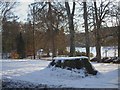 Snow on the stump