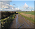 TL6153 : Footpath to Crick's Farm by Hugh Venables