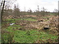 Raised path through marsh