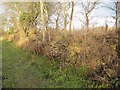 Stonework in the hedge