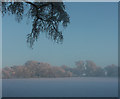 Snowfields near Aylesfield House