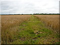 The Staffordshire Way, west of Gipsy Green