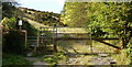 Stile leading to woodland, Upper Cwmbran