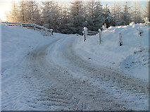 NN6394 : Snowy track by Dave Fergusson