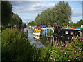 Chelmer & Blackwater Navigation at Sandford