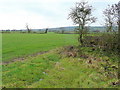 Flat arable land near the Severn