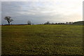 SP2752 : Farmland alongside A429 Ettington Road by David P Howard