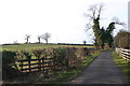 Fields and hedgerow alongside lane to Loxley