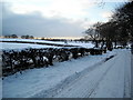 Snow Covered Langlands Road